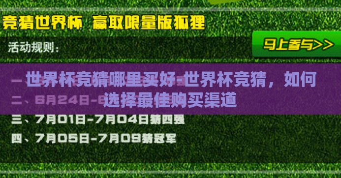 世界杯竞猜哪里买好-世界杯竞猜，如何选择最佳购买渠道