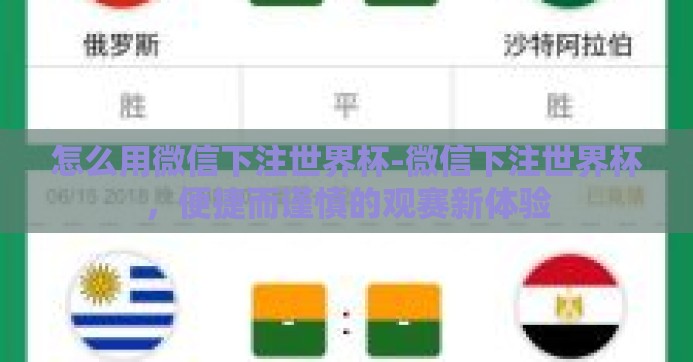 怎么用微信下注世界杯-微信下注世界杯，便捷而谨慎的观赛新体验