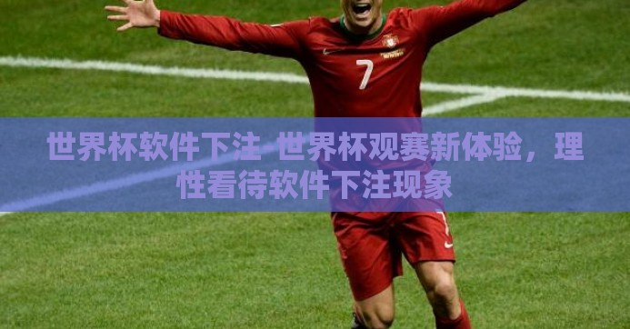 世界杯软件下注-世界杯观赛新体验，理性看待软件下注现象