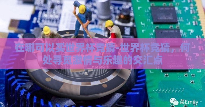 在哪可以买世界杯竞猜-世界杯竞猜，何处寻觅激情与乐趣的交汇点
