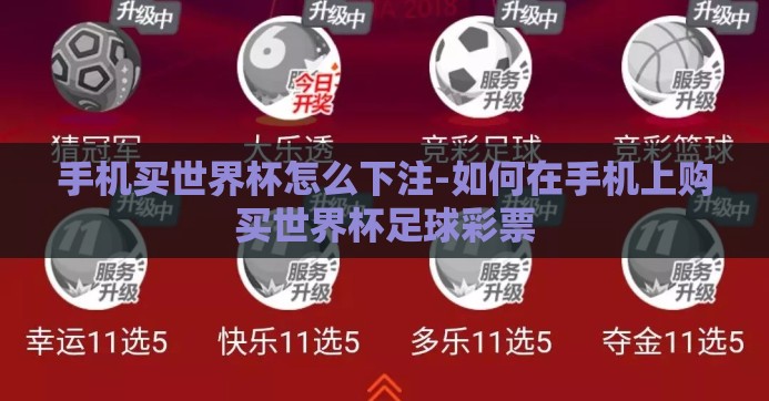 手机买世界杯怎么下注-如何在手机上购买世界杯足球彩票