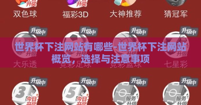 世界杯下注网站有哪些-世界杯下注网站概览，选择与注意事项