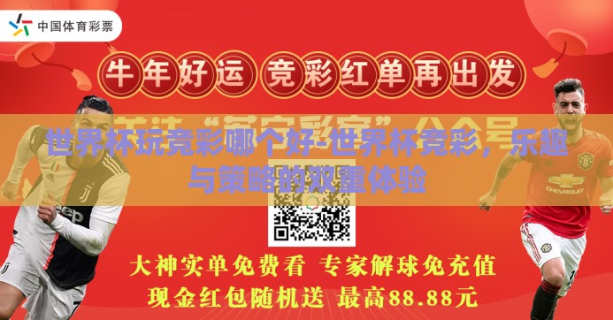 世界杯玩竞彩哪个好-世界杯竞彩，乐趣与策略的双重体验
