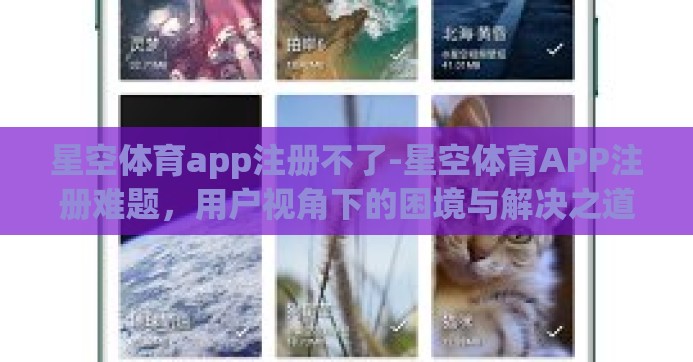 星空体育app注册不了-星空体育APP注册难题，用户视角下的困境与解决之道