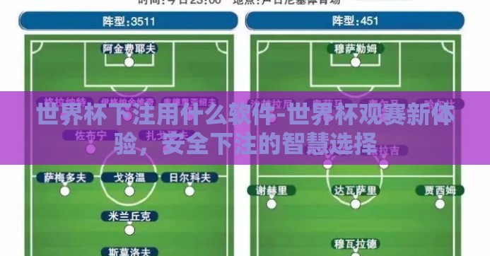 世界杯下注用什么软件-世界杯观赛新体验，安全下注的智慧选择
