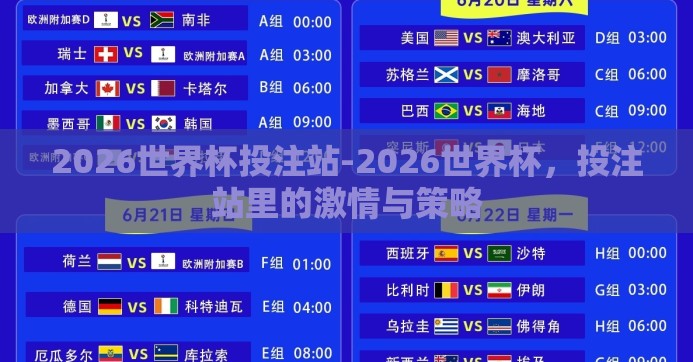 2026世界杯投注站-2026世界杯,投注站里的激情与策略 2026世界杯投注站-2026世界杯,投注站里的激情与策略