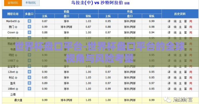 世界杯盘口平台-世界杯盘口平台的全球视角与风险考量