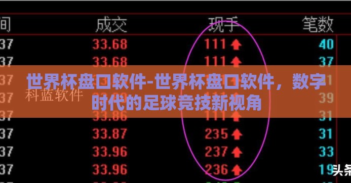 世界杯盘口软件-世界杯盘口软件，数字时代的足球竞技新视角