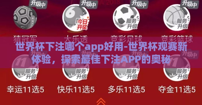 世界杯下注哪个app好用-世界杯观赛新体验，探索最佳下注APP的奥秘