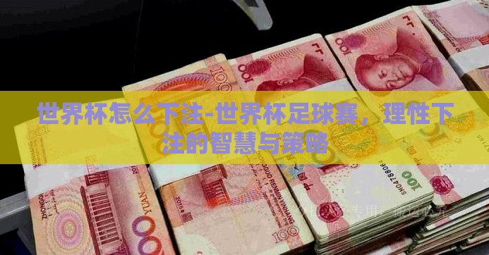 世界杯怎么下注-世界杯足球赛，理性下注的智慧与策略