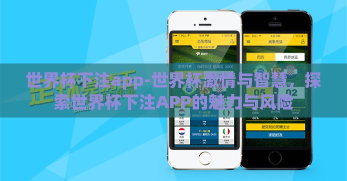 世界杯下注app-世界杯激情与智慧，探索世界杯下注APP的魅力与风险