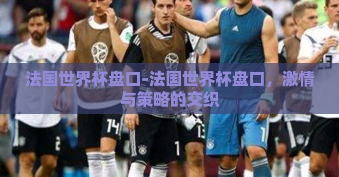 法国世界杯盘口-法国世界杯盘口，激情与策略的交织