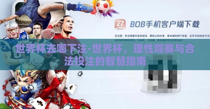 世界杯去哪下注-世界杯，理性观赛与合法投注的智慧指南