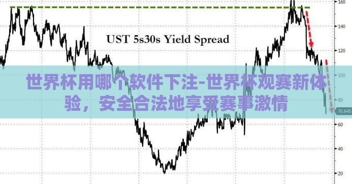 世界杯用哪个软件下注-世界杯观赛新体验，安全合法地享受赛事激情