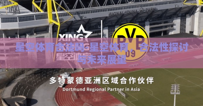 星空体育合法吗-星空体育,合法性探讨与未来展望 星空体育合法吗-星空体育,合法性探讨与未来展望