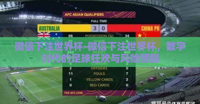 微信下注世界杯-微信下注世界杯，数字时代的足球狂欢与风险警醒