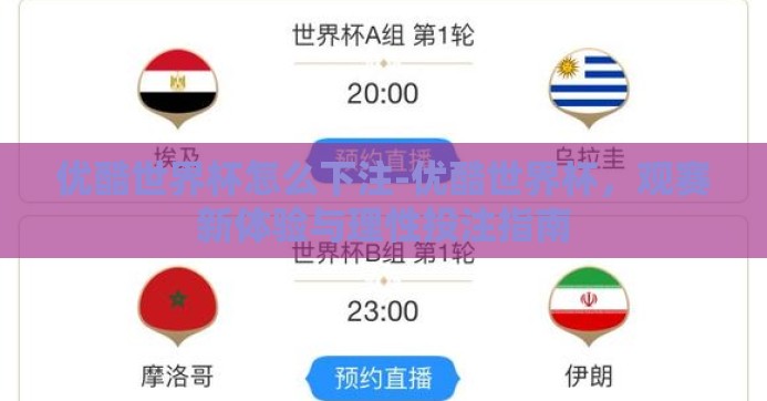 优酷世界杯怎么下注-优酷世界杯，观赛新体验与理性投注指南