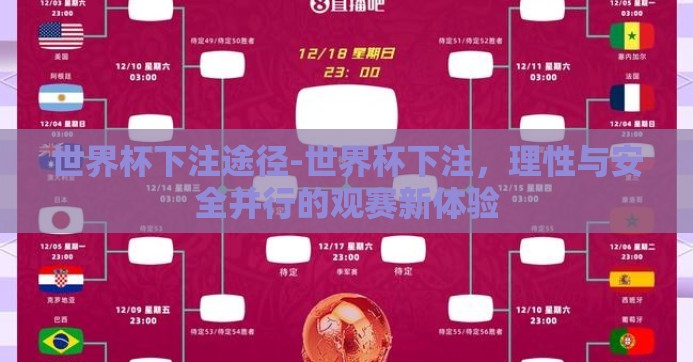 世界杯下注途径-世界杯下注,理性与安全并行的观赛新体验 世界杯下注途径-世界杯下注,理性与安全并行的观赛新体验