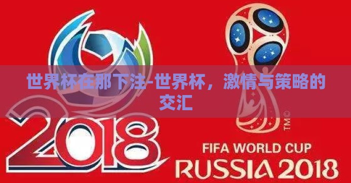 世界杯在那下注-世界杯，激情与策略的交汇