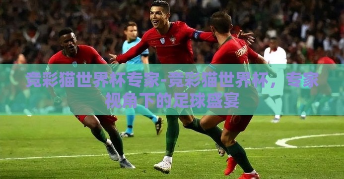 竞彩猫世界杯专家-竞彩猫世界杯,专家视角下的足球盛宴 竞彩猫世界杯专家-竞彩猫世界杯,专家视角下的足球盛宴