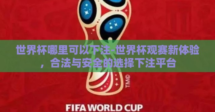 世界杯哪里可以下注-世界杯观赛新体验，合法与安全的选择下注平台