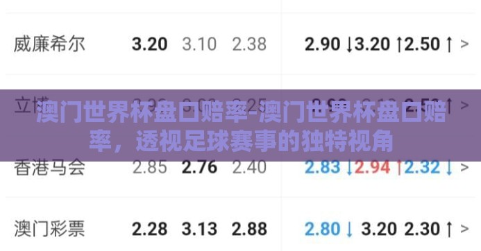澳门世界杯盘口赔率-澳门世界杯盘口赔率，透视足球赛事的独特视角