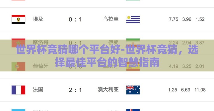 世界杯竞猜哪个平台好-世界杯竞猜,选择最佳平台的智慧指南 世界杯竞猜哪个平台好-世界杯竞猜,选择最佳平台的智慧指南
