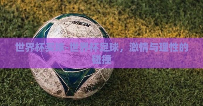 世界杯买球-世界杯足球，激情与理性的碰撞
