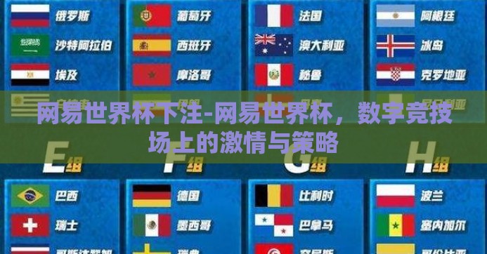 网易世界杯下注-网易世界杯，数字竞技场上的激情与策略