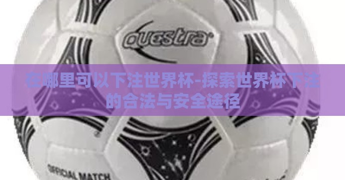 在哪里可以下注世界杯-探索世界杯下注的合法与安全途径 在哪里可以下注世界杯-探索世界杯下注的合法与安全途径