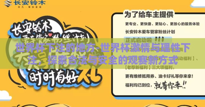 世界杯下注的地方-世界杯激情与理性下注，探索合法与安全的观赛新方式