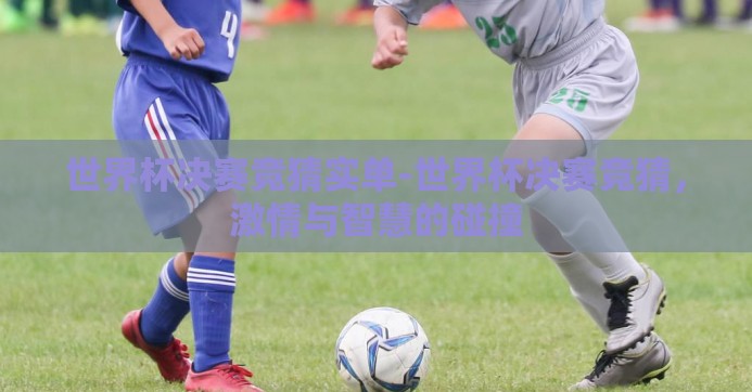 世界杯决赛竞猜实单-世界杯决赛竞猜，激情与智慧的碰撞