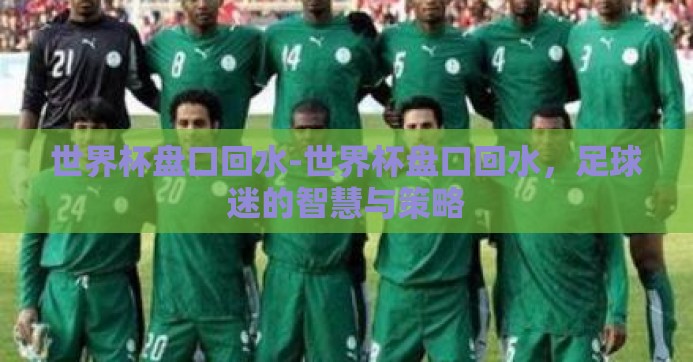 世界杯盘口回水-世界杯盘口回水，足球迷的智慧与策略