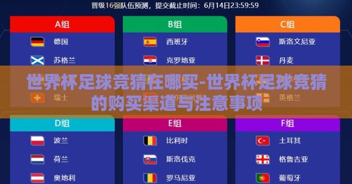 世界杯足球竞猜在哪买-世界杯足球竞猜的购买渠道与注意事项