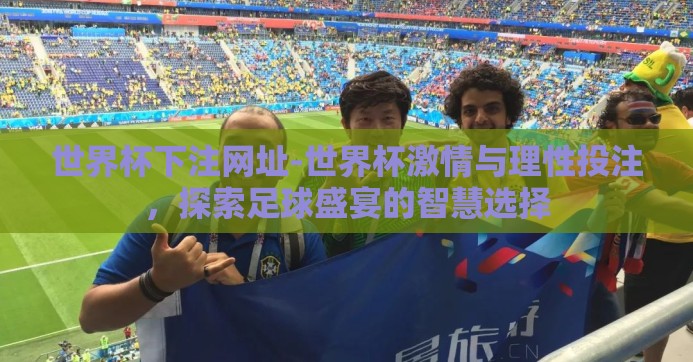 世界杯下注网址-世界杯激情与理性投注，探索足球盛宴的智慧选择