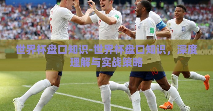 世界杯盘口知识-世界杯盘口知识，深度理解与实战策略