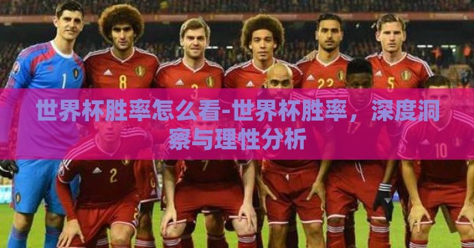 世界杯胜率怎么看-世界杯胜率，深度洞察与理性分析