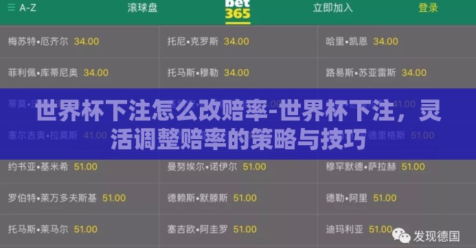 世界杯下注怎么改赔率-世界杯下注，灵活调整赔率的策略与技巧