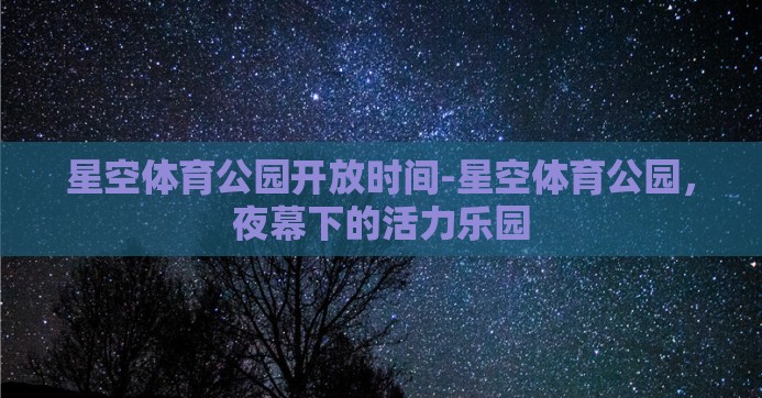 星空体育公园开放时间-星空体育公园，夜幕下的活力乐园