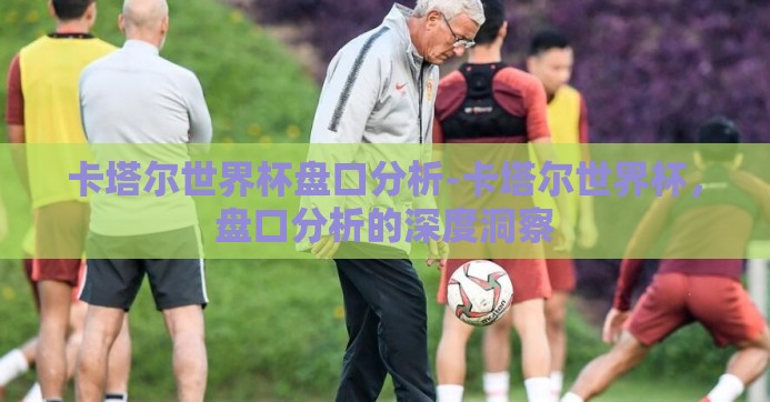 卡塔尔世界杯盘口分析-卡塔尔世界杯，盘口分析的深度洞察