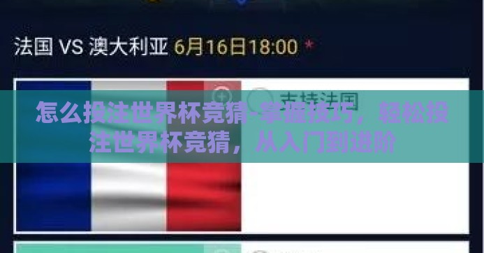 怎么投注世界杯竞猜-掌握技巧，轻松投注世界杯竞猜，从入门到进阶