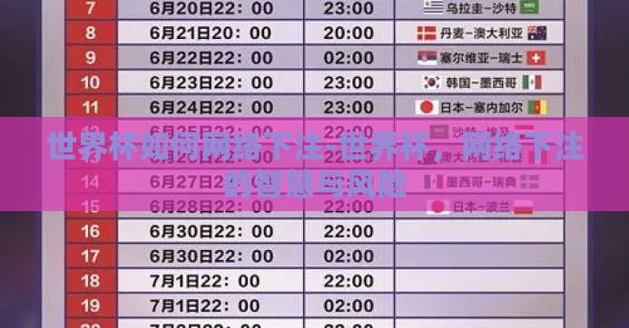 世界杯如何网络下注-世界杯，网络下注的智慧与风险