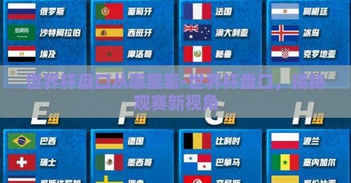 世界杯盘口从哪里看-世界杯盘口，揭秘观赛新视角