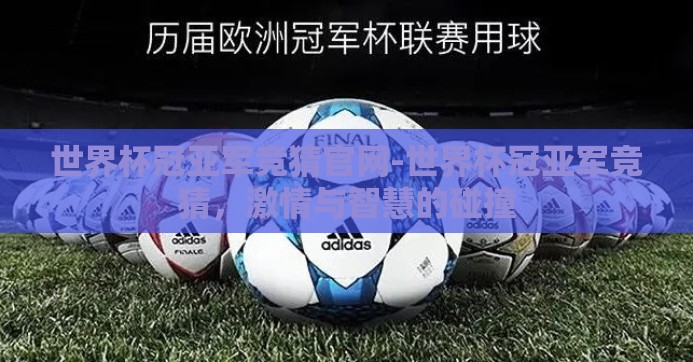 世界杯冠亚军竞猜官网-世界杯冠亚军竞猜，激情与智慧的碰撞