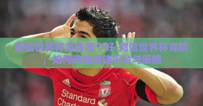 微信世界杯竞猜哪个好-微信世界杯竞猜，如何选择最佳平台与策略