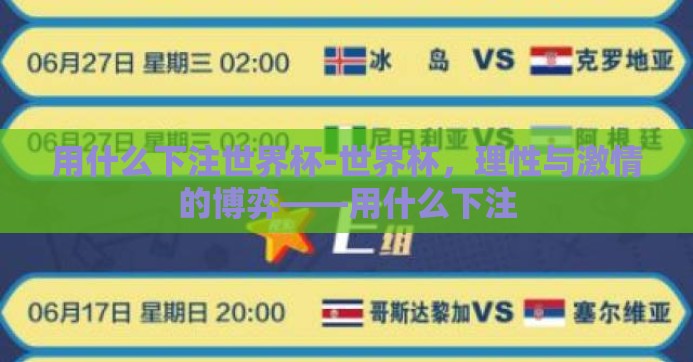 用什么下注世界杯-世界杯，理性与激情的博弈——用什么下注