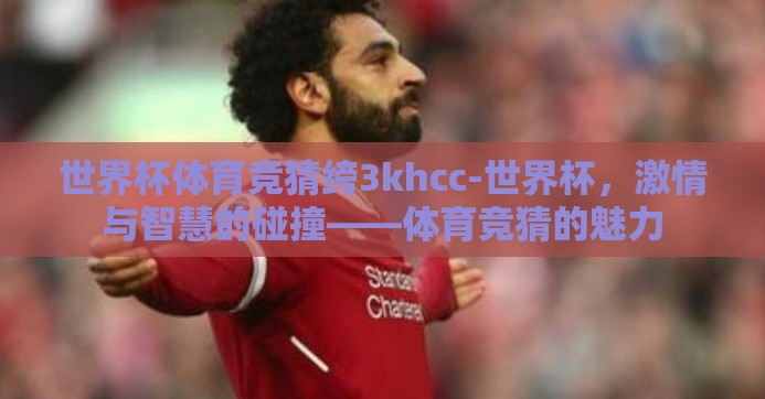 世界杯体育竞猜绔3khcc-世界杯，激情与智慧的碰撞——体育竞猜的魅力