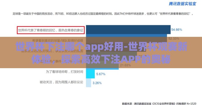 世界杯下注哪个app好用-世界杯观赛新体验，探索高效下注APP的奥秘