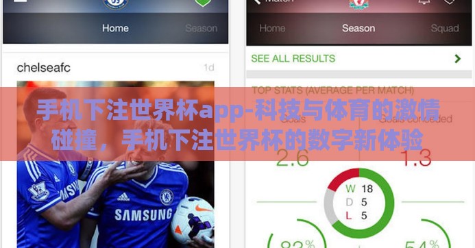 手机下注世界杯app-科技与体育的激情碰撞，手机下注世界杯的数字新体验