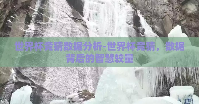世界杯竞猜数据分析-世界杯竞猜，数据背后的智慧较量